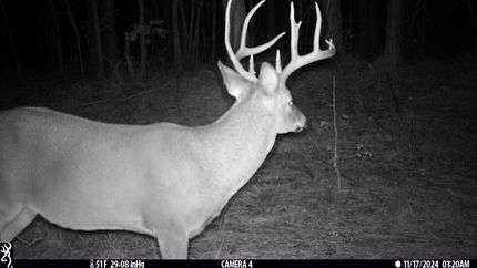 Property for sale in Lawrence County, Alabama