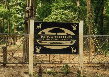 Timberland Property for sale in Bolivar County, Mississippi