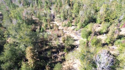 Timberland Property for sale in Houston County, Texas