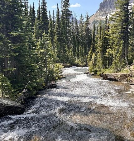 Timberland Property for sale in Boise County, Idaho