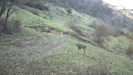 Recreational Property for sale in Grant County, Wisconsin