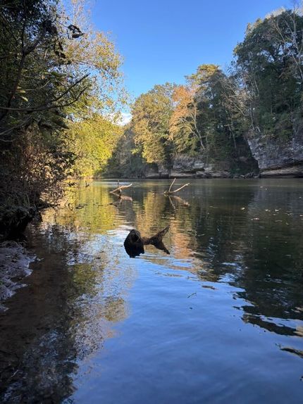 Property for sale in Polk County, Tennessee