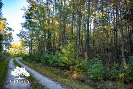Property for sale in Colleton County, South Carolina
