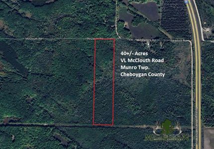 Undeveloped Land for sale in Cheboygan County, Michigan