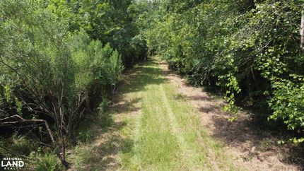 Hunting Land for sale in Berkeley County, South Carolina