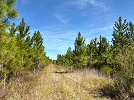Residential Property for sale in Gulf County, Florida
