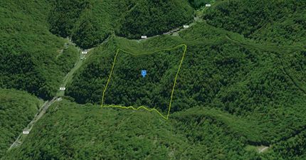 Undeveloped Land for sale in Lincoln County, West Virginia
