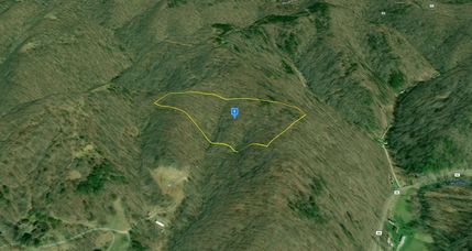 Undeveloped Land for sale in Lincoln County, West Virginia