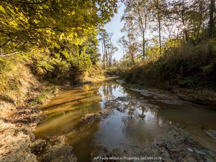 Undeveloped Land for sale in Claiborne County, Mississippi