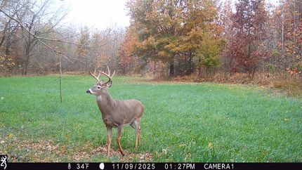 Timberland Property for sale in Greene County, Indiana