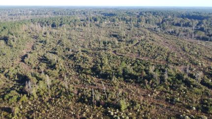 Recreational Property for sale in Walthall County, Mississippi