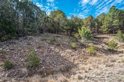 Undeveloped Land for sale in Lincoln County, New Mexico