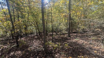 Undeveloped Land for sale in Calloway County, Kentucky
