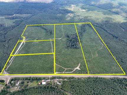 Hunting Land for sale in Jasper County, Texas