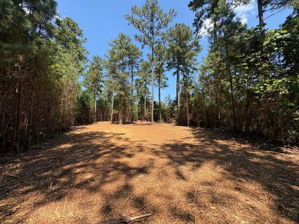 Undeveloped Land for sale in Monroe County, Georgia