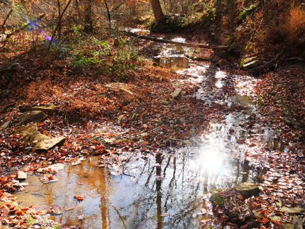 Undeveloped Land for sale in Metcalfe County, Kentucky