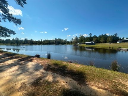 Recreational Property for sale in Screven County, Georgia