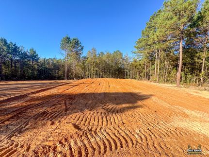 Undeveloped Land for sale in Cass County, Texas