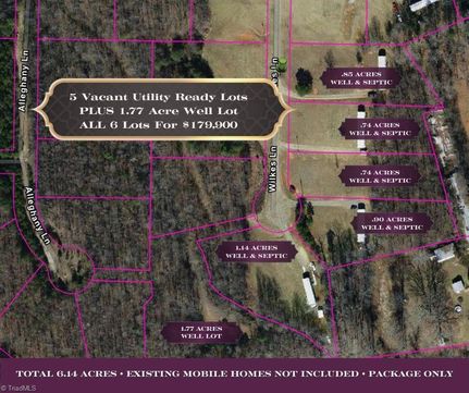 Undeveloped Land for sale in Surry County, North Carolina