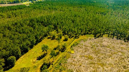 Recreational Property for sale in Evans County, Georgia