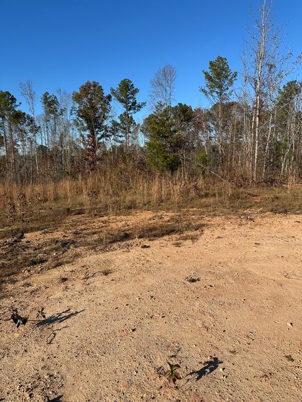 Hunting Land for sale in Wilkes County, Georgia
