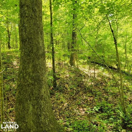 Property for sale in Talladega County, Alabama