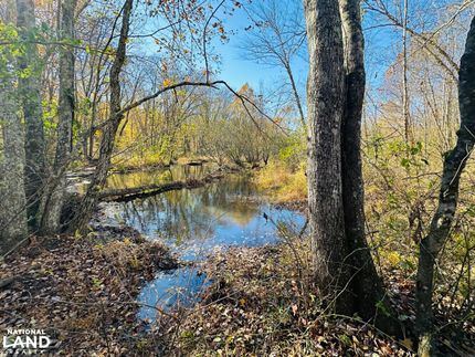 Riverfront Property for sale in Buckingham County, Virginia