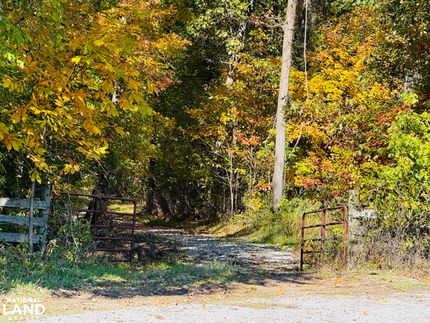 Undeveloped Land for sale in Pulaski County, Illinois