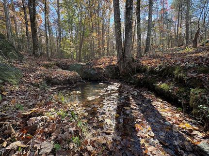 Farm Property for sale in Abbeville County, South Carolina