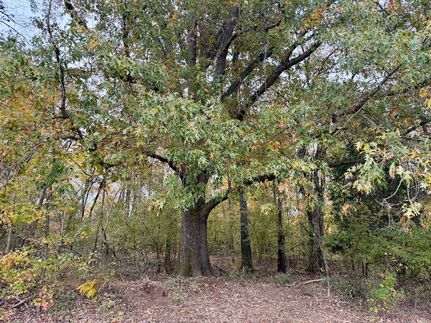 Property for sale in Lauderdale County, Tennessee