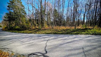 Undeveloped Land for sale in Ripley County, Indiana