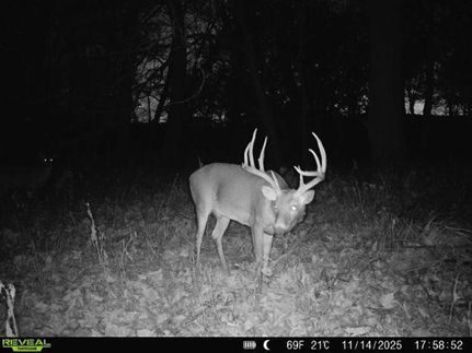 Undeveloped Land for sale in Woodson County, Kansas