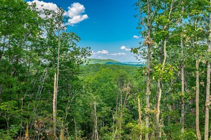 Undeveloped Land for sale in Catoosa County, Georgia
