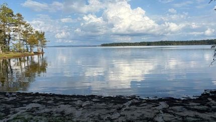 Undeveloped Land for sale in Sabine County, Texas