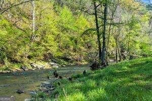 Waterfront Property for sale in Pickens County, Georgia