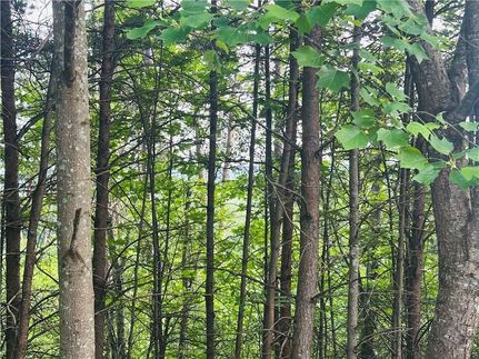 Property for sale in Lumpkin County, Georgia