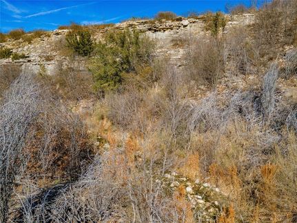 Undeveloped Land for sale in Palo Pinto County, Texas