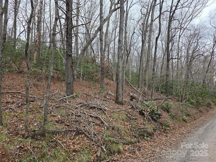 Property for sale in Yancey County, North Carolina