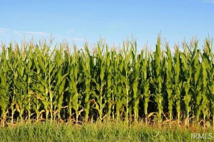 Property for sale in Huntington County, Indiana