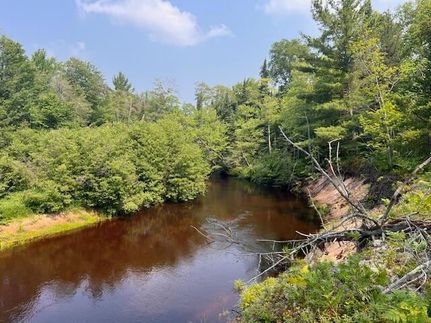 Undeveloped Land for sale in Chippewa County, Michigan