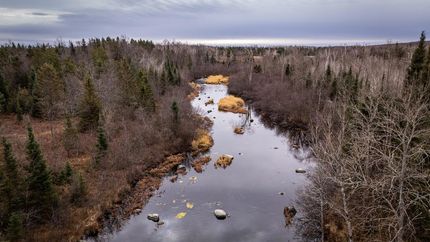 Residential Property for sale in Forest County, Wisconsin