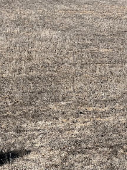 Property for sale in San Bernardino County, California