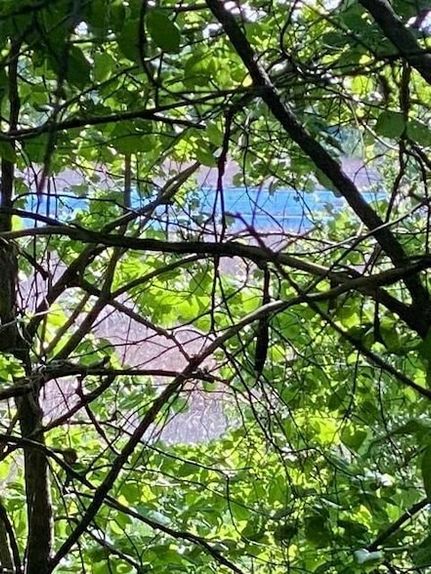 Property for sale in Scott County, Minnesota