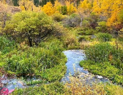 Property for sale in Pennington County, South Dakota