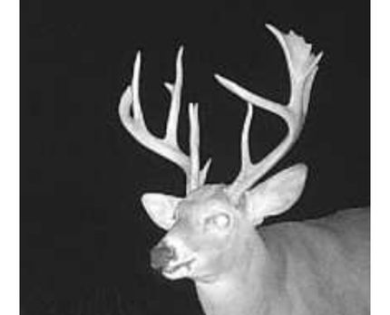 Ranch Property for sale in Miami County, Kansas