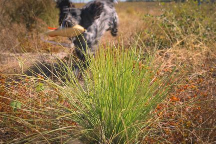 Property for sale in Madison County, Florida