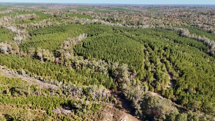 Timberland Property for sale in Barbour County, Alabama