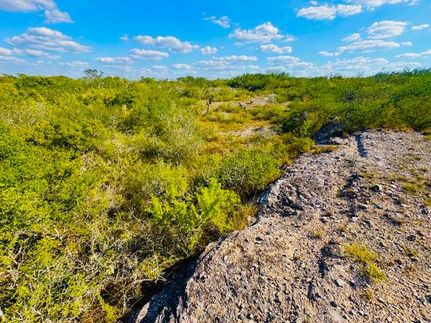 Recreational Property for sale in Duval County, Texas