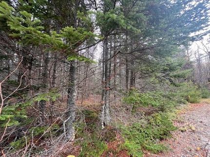 Property for sale in Washington County, Maine