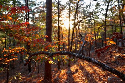 Farm Property for sale in Le Flore County, Oklahoma